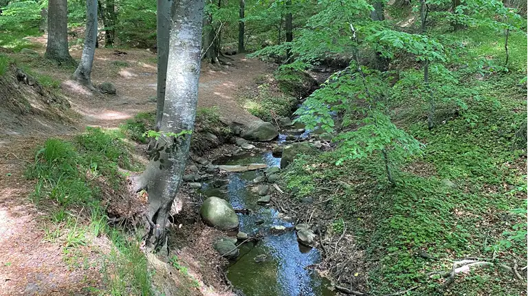 Sti og vandløb i en kløft